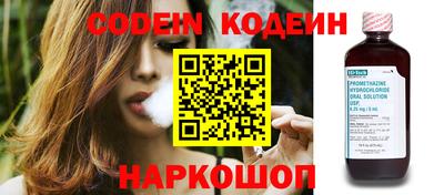 СК Новозыбков