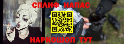 СК Новозыбков