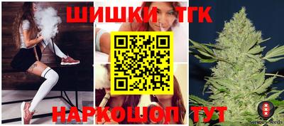 СК Новозыбков