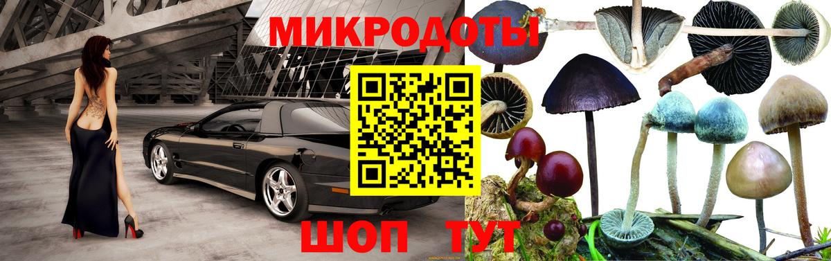 Тобольск  Псилоцибиновые грибы MAGIC MUSHROOMS  Галлюциногенные грибы Magic Shrooms  Вход с VPN 